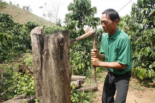 Những nghệ nhân thổi hồn vào gỗ ở Kon Tum