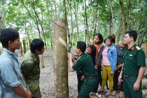 Mô hình “gắn kết hộ” giúp bà con vùng biên thoát nghèo