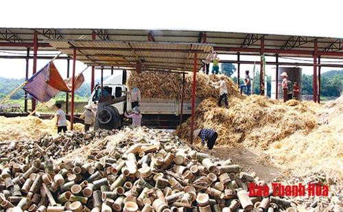 Phát triển kinh tế lâm nghiệp gắn với chế biến tại huyện vùng cao Lang Chánh