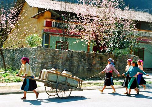 Thời tiết ngày 14/3: Bắc bộ nắng ráo, Bắc Trung bộ khả năng có tố, lốc, mưa đá và gió giật