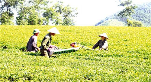 Tạo động lực để Phú Thọ vươn lên hàng đầu ở Trung du và miền núi Bắc Bộ