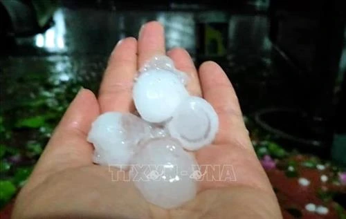 Lai Châu hỗ trợ người dân có nơi ở tạm sau trận mưa đá trên diện rộng