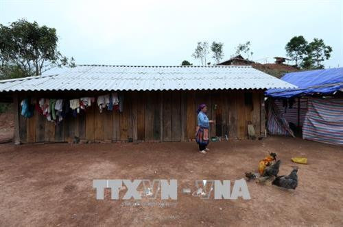 Giải quyết dứt điểm tình trạng phá rừng và di cư ngoài kế hoạch tại huyện Mường Nhé, Điện Biên