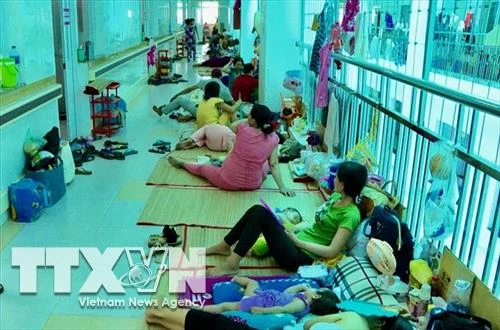 Cần Thơ: Số trẻ 1-2 tuổi mắc bệnh tay chân miệng tăng nhanh