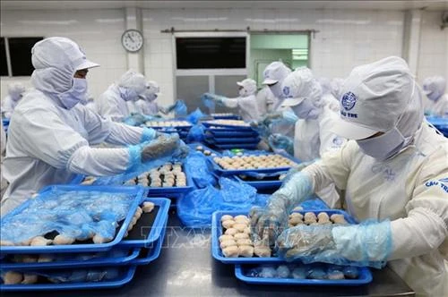 Gần 80% doanh nghiệp châu Âu đánh giá EVFTA tăng tính cạnh tranh cho Việt Nam