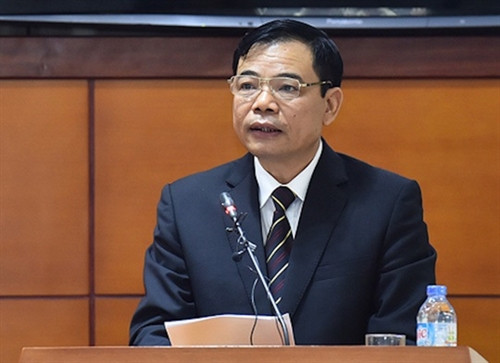 Tái tạo môi trường biển miền Trung cần số tiền khổng lồ