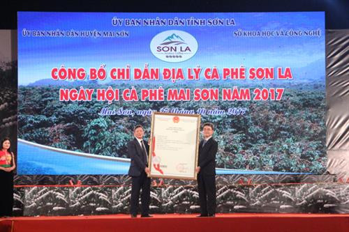 Chỉ dẫn địa lý – Khẳng định danh tiếng, định vị cà phê Sơn La trên bản đồ cà phê Việt Nam