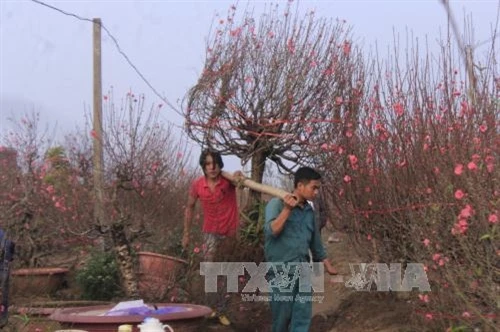 Miền Bắc và miền Nam nắng ráo, miền Trung có mưa to