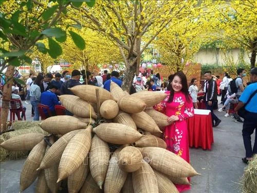 Thành phố Hồ Chí Minh: Rộn ràng các hoạt động chào mừng Xuân Kỷ Hợi 2019