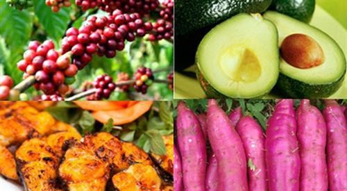 10 món ngon làm quà biếu độc đáo ở Đắk Nông