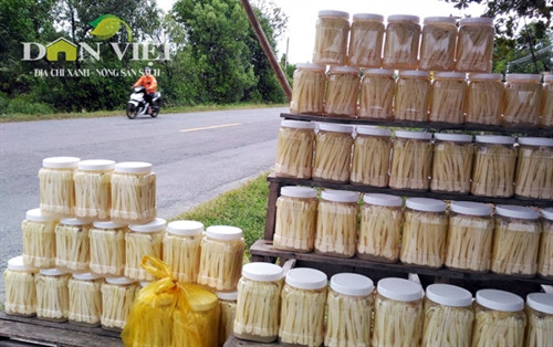 Giòn ngon dưa bồn bồn đặc sản Đất Mũi