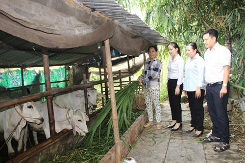 An Giang ưu tiên vốn tín dụng cho các huyện biên giới 