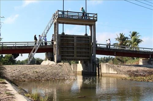 Hậu Giang đầu tư trên 67 tỷ đồng nâng cấp đập và cống ngăn mặn