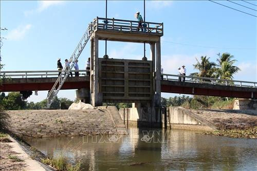Hậu Giang đầu tư trên 67 tỷ đồng nâng cấp đập và cống ngăn mặn