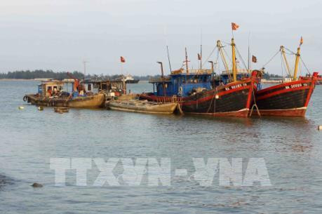 Nghệ An cấm tàu thuyền ra khơi từ 7 giờ ngày 14/9 để phòng bão số 10