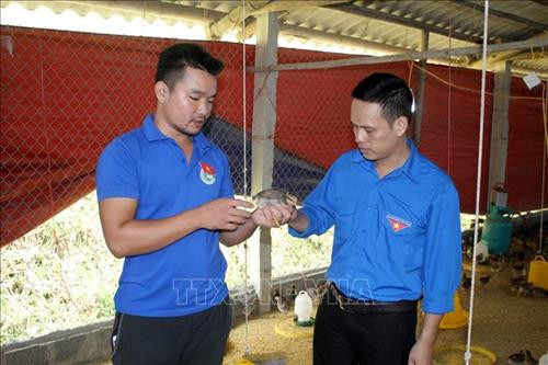 Những thanh niên quyết chí làm giàu trên vùng đất khó Lang Chánh