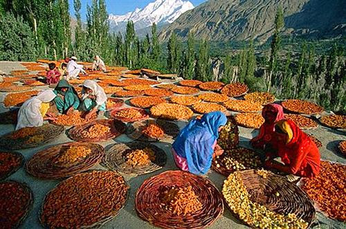 Bộ tộc sống khoẻ nhất thế giới