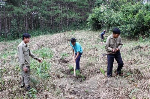 Diễn đàn các tổ chức xã hội với công tác giám sát quản trị rừng