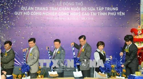 Khởi công xây dựng trang trại bò sữa công nghệ cao đầu tiên tại Phú Yên