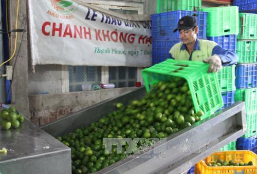 Phấn đấu đến năm 2020 có 500 hợp tác xã nông nghiệp công nghệ cao