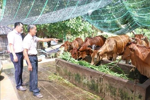 Bến Tre hỗ trợ hộ nghèo phát triển đa dạng sinh kế, thoát nghèo bền vững