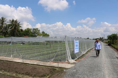 Long An: Nhân rộng các mô hình sản xuất kinh doanh hiệu quả của nông dân