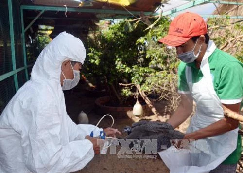 Bạc Liêu: Tăng cường phòng, chống một số bệnh truyền nhiễm và các bệnh không lây nhiễm phổ biến