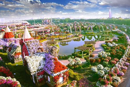 Khám phá 3 mùa hoa khó bỏ lỡ những tháng cuối năm khắp thế giới