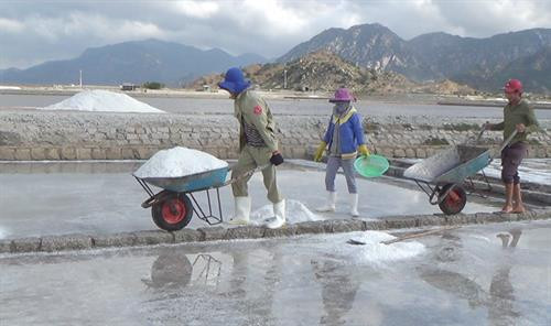 Giá muối tăng mạnh ở Ninh Thuận