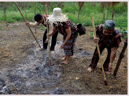 Đồng bào Pa Cô đánh thức hạt giống