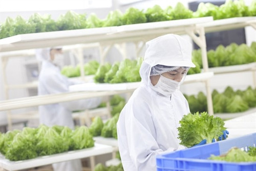 Nông trại hoàn toàn tự động hóa đầu tiên trên thế giới