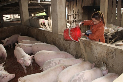 Phụ nữ tỉnh Cao Bằng thực hiện hiệu quả các phong trào thi đua