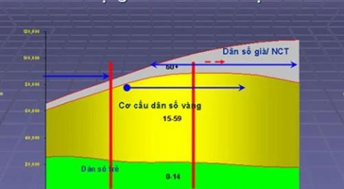 Việt Nam vẫn ở thời kỳ cơ cấu dân số vàng