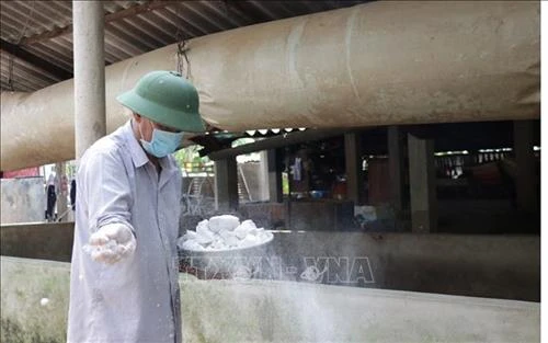 Quảng Trị ngăn bệnh lở mồm, long móng trên lợn lan rộng