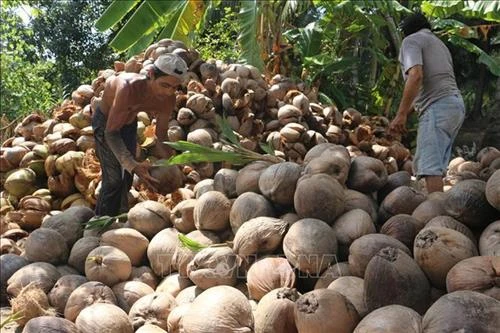 Bến Tre xây dựng 15 hợp tác xã điểm ứng dụng công nghệ cao