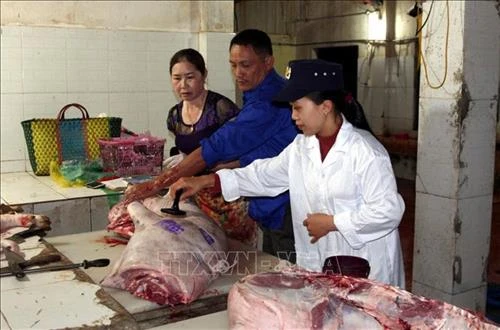 Đảm bảo chất lượng bữa ăn ca cho người lao động vùng dịch tả lợn châu Phi