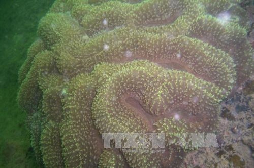 Vườn Quốc gia Bái Tử Long là Vườn Di sản thứ 38 của ASEAN
