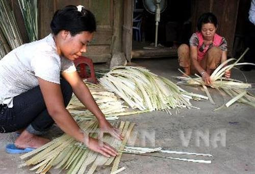 Giúp người dân huyện miền núi Thường Xuân giảm nghèo