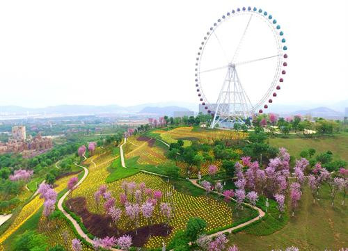 Cánh đồng chong chóng đẹp mắt 