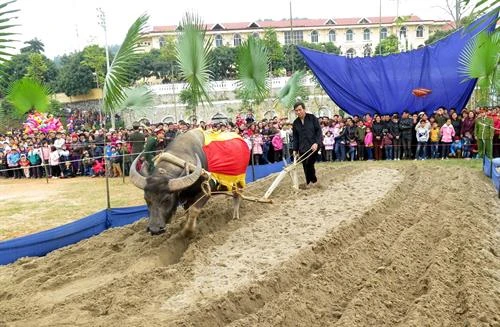 Nô nức Ngày hội xuống đồng của đồng bào dân tộc Tày