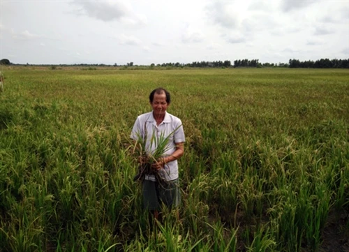 El Nino còn kéo dài đến giữa năm 2016