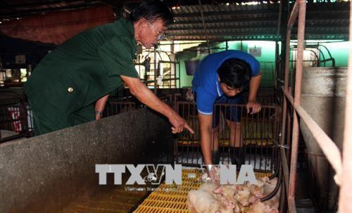 Những thương binh làm theo lời Bác (Bài 1)