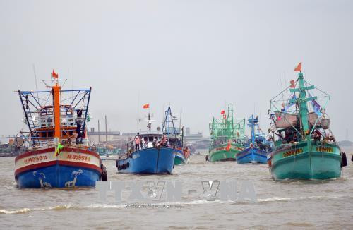 Hàng nghìn người tham gia lễ hội Nghinh Ông Sông Đốc