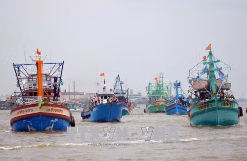 Hàng nghìn người tham gia lễ hội Nghinh Ông Sông Đốc