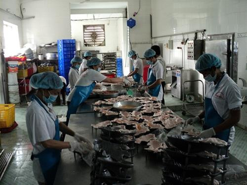 Trà Vinh đầu tư 700 tỷ đồng phát triển công nghiệp chế biến thực phẩm