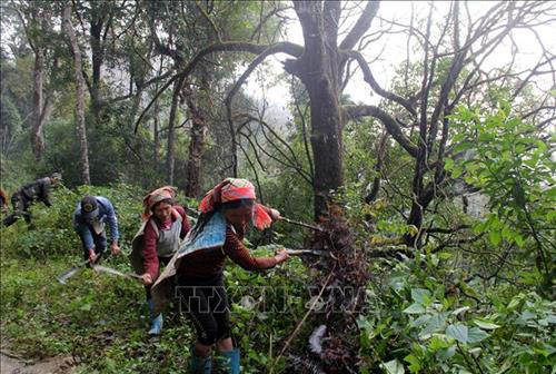 Huyện biên giới Mường Tè chủ động phòng chống cháy rừng
