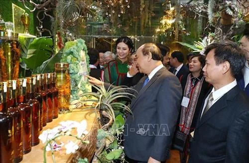 Thủ tướng Nguyễn Xuân Phúc mong muốn sâm Ngọc Linh ghi dấu ấn lịch sử mới cho ngành dược liệu Việt Nam