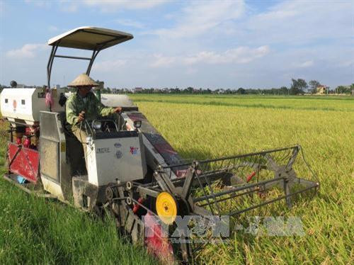Thí điểm cơ chế tích tụ đất đai để hấp dẫn nhà đầu tư