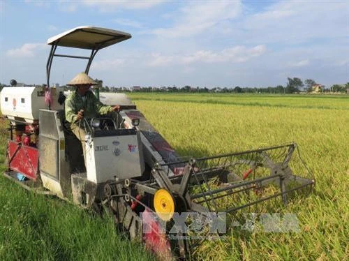 Thí điểm cơ chế tích tụ đất đai để hấp dẫn nhà đầu tư
