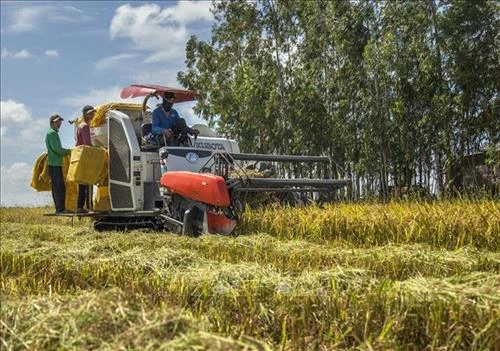Kiên Giang tái cơ cấu nông nghiệp gắn với xây dựng nông thôn mới